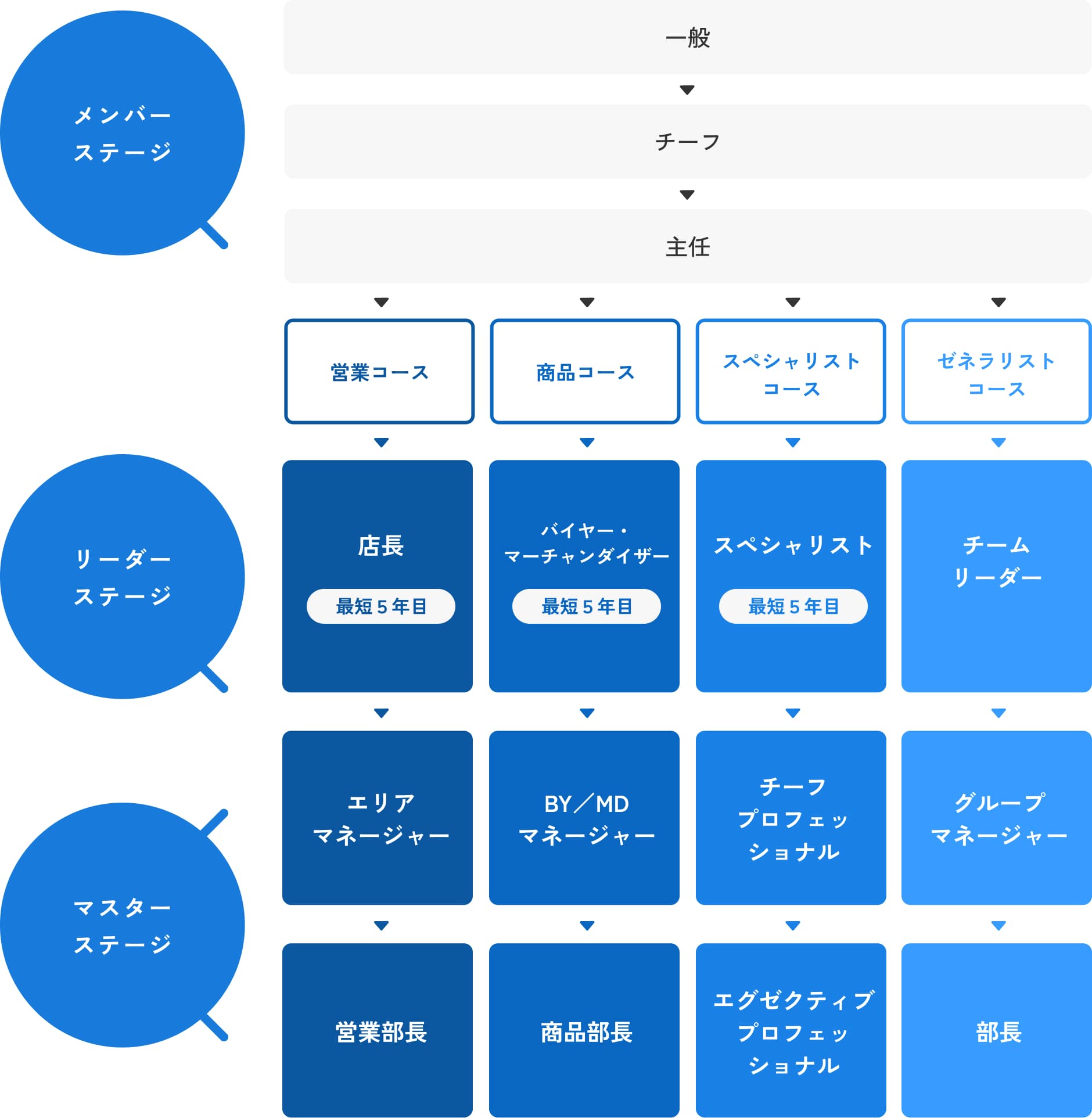 キャリアパスを説明した図です
